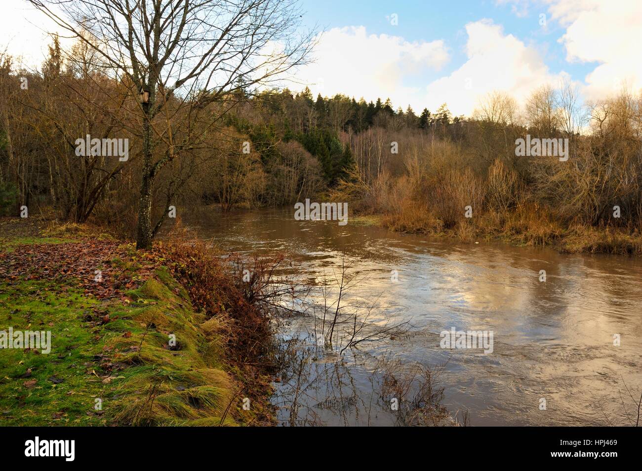Dubysa Regional Park in Litauen Stock Photo