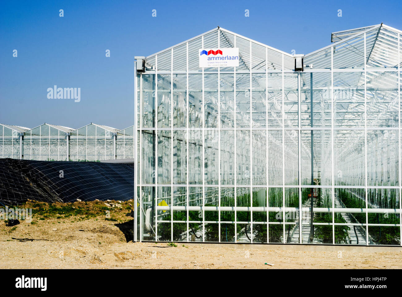Wallern im Burgenland, greenhouse, Neusiedler See (Lake Neusiedl), Burgenland, Austria Stock Photo