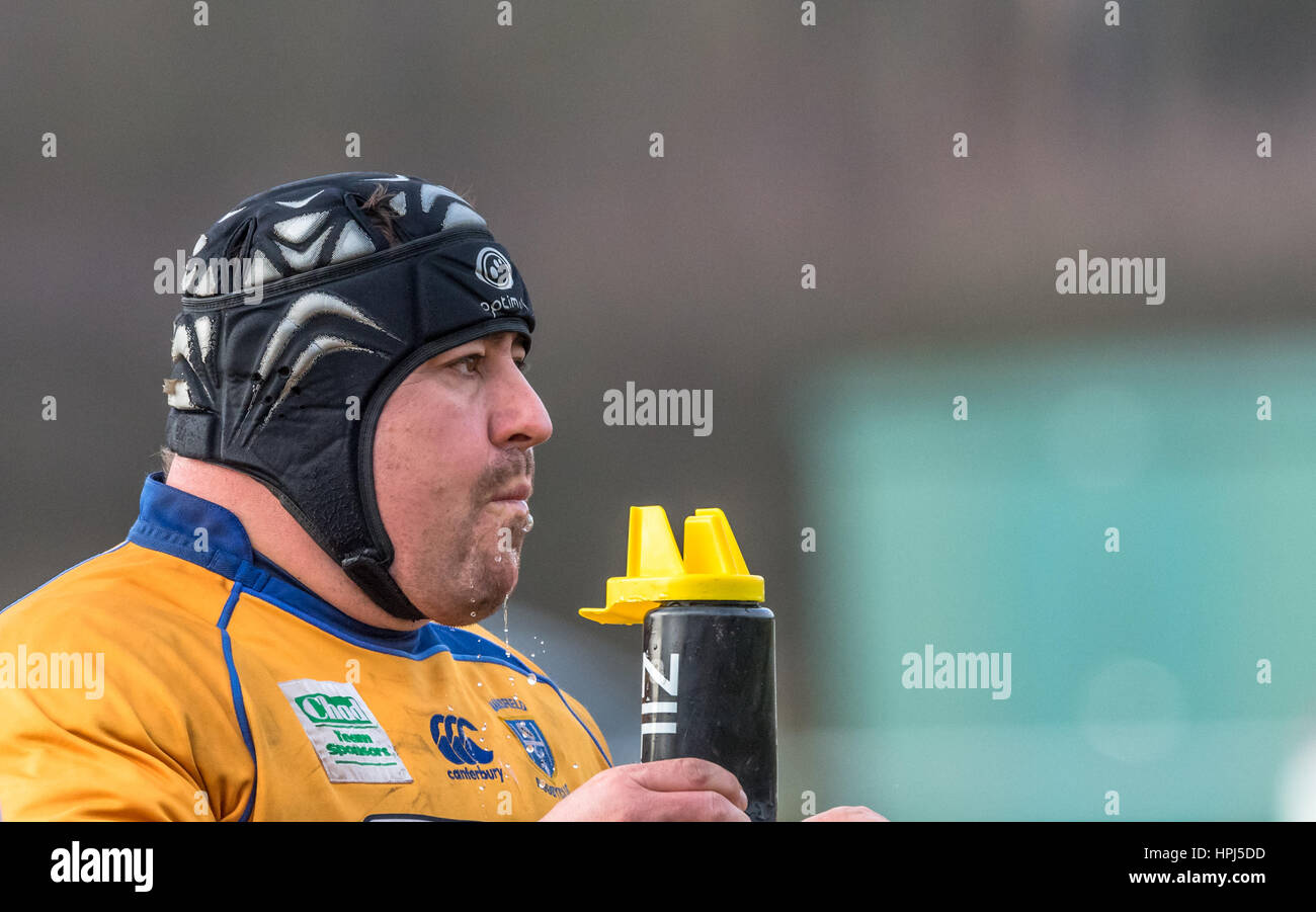 Rugby union football player drinking from a water bottle. Stock Photo