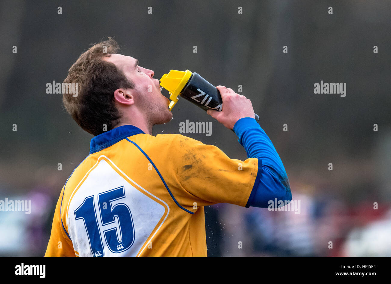 Rugby union football player drinking from a water bottle. Stock Photo