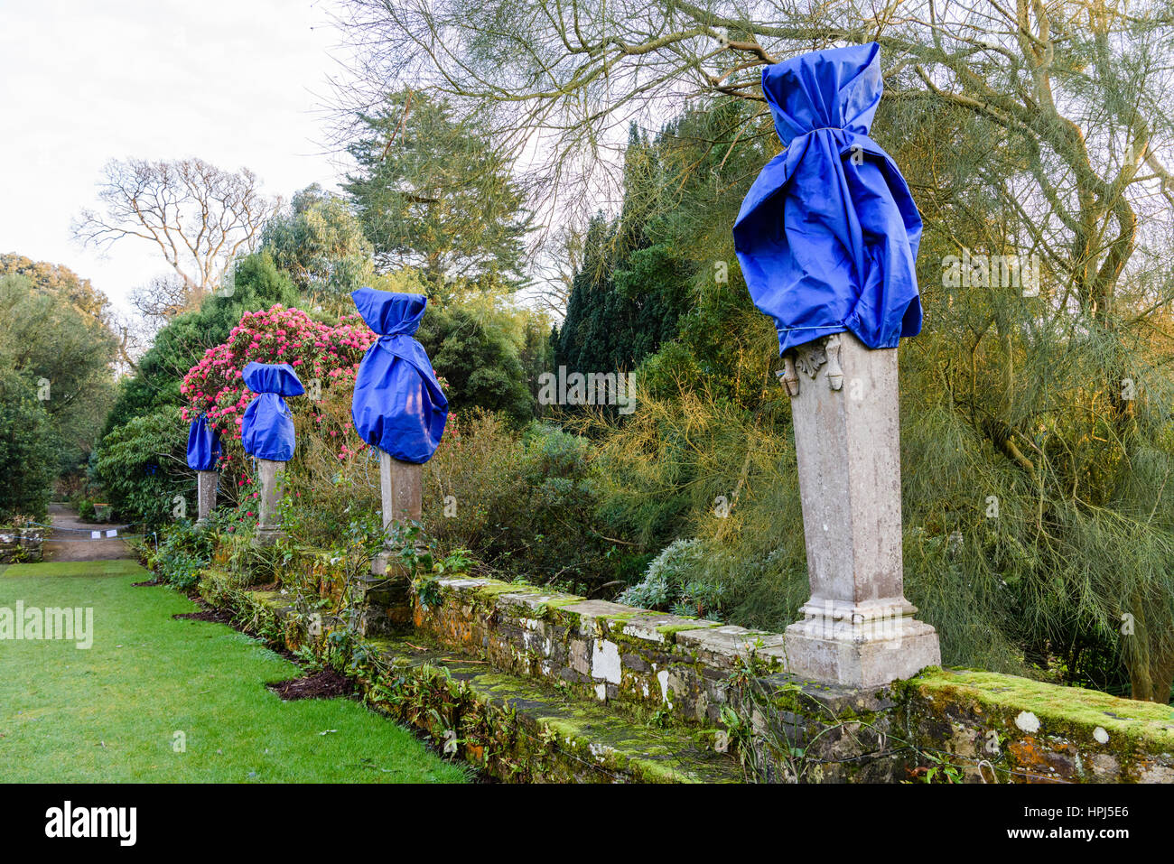 Stone statues in a formal garden covered blue tarpaulins to protect