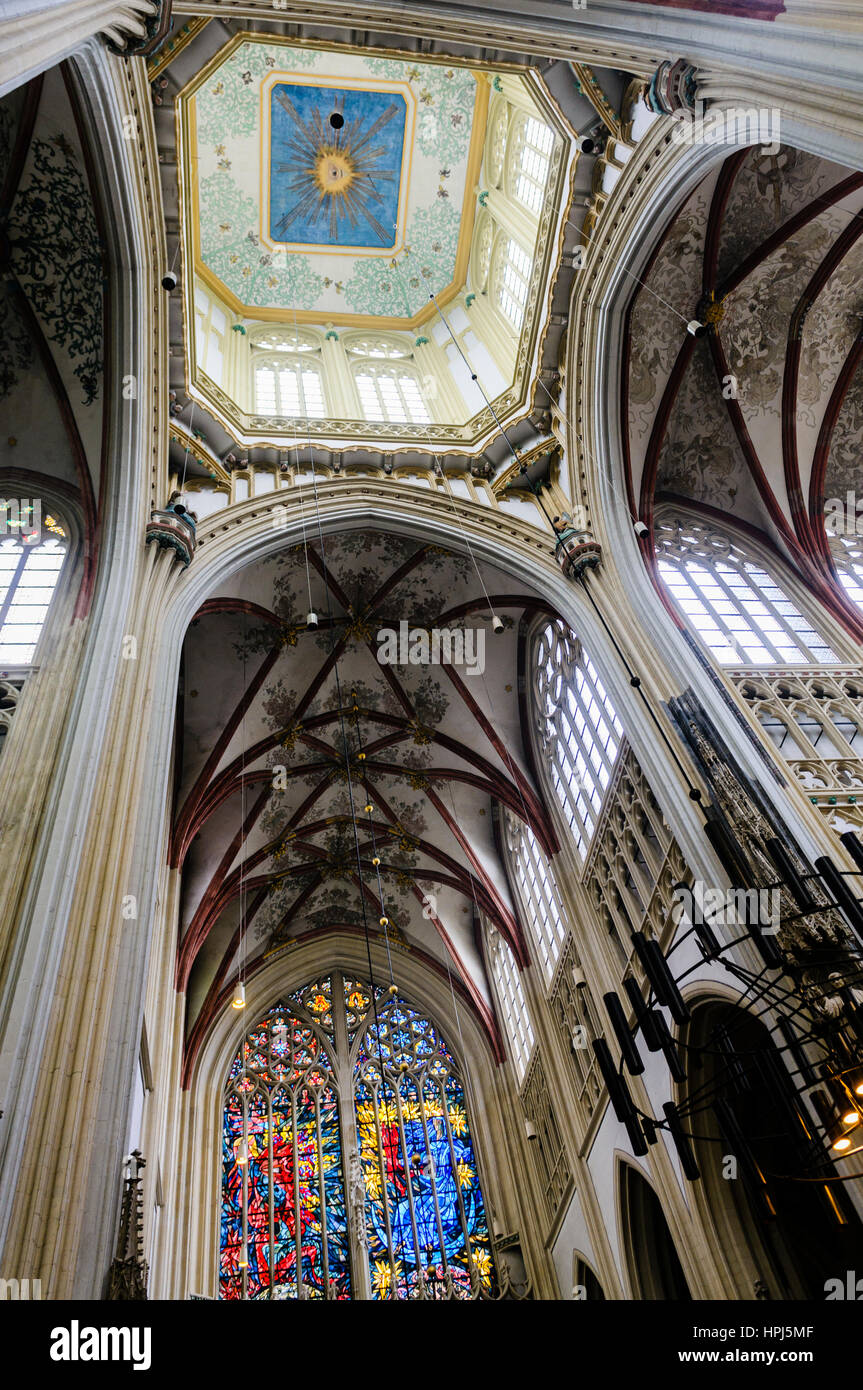 Ceiling of Saint John's Cathedral, s'Hertogenbosch, Netherlands Stock Photo