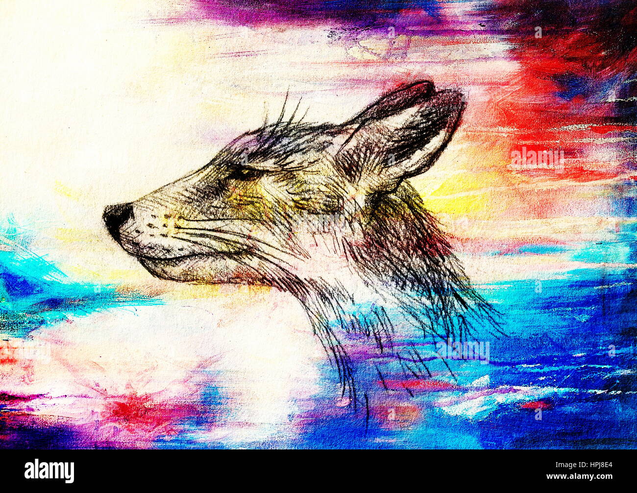 Fox portrait, pencil drawing on paper and color effect Stock Photo