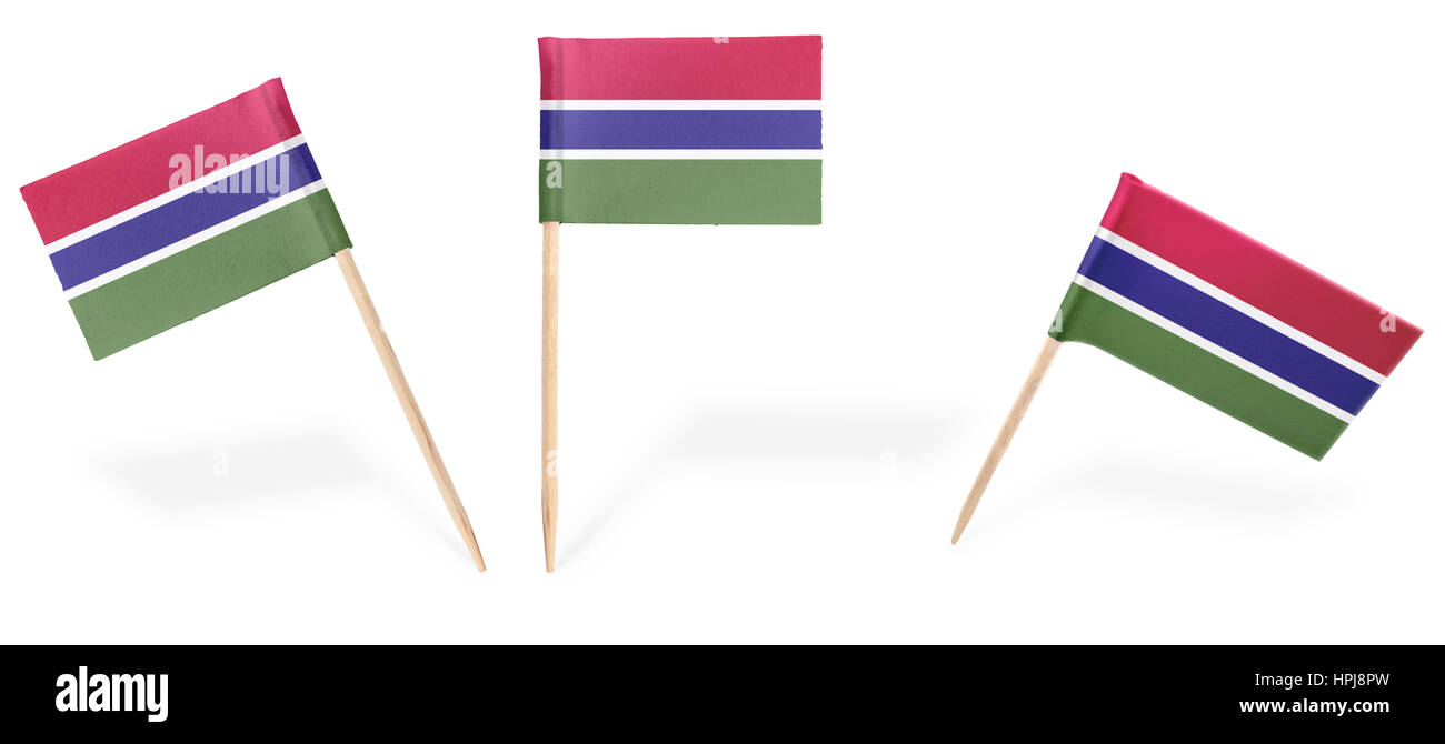 Small cocktail flags of Gambia in different positions isolated on white.(series) . Also easy to use as a design element :) Stock Photo