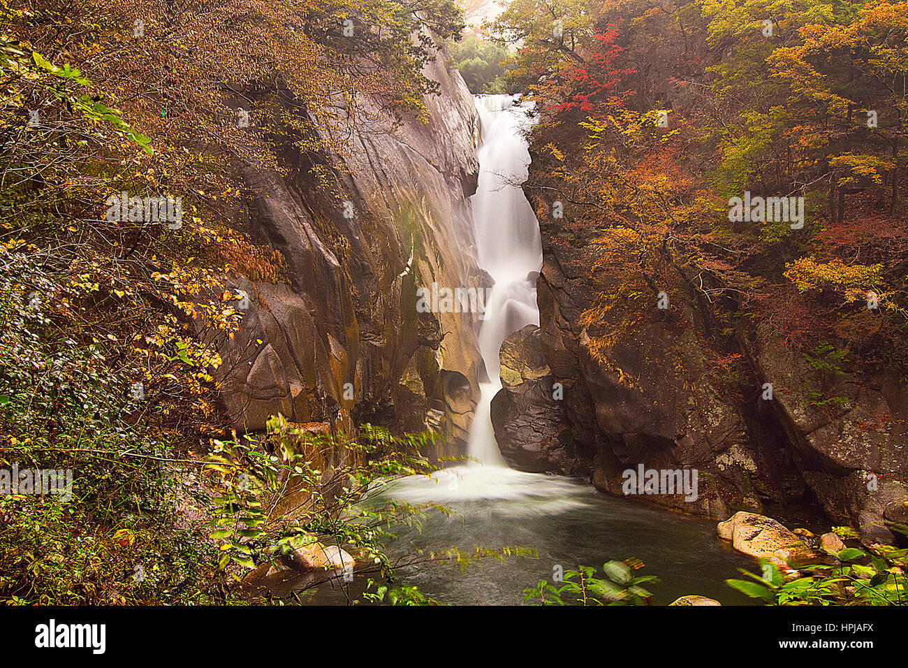 Abstract wallpapers with oil milk and water Stock Photo