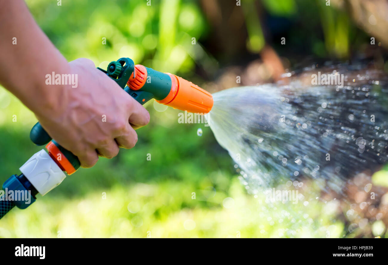 Woman holding hose sprayer nozzle in hand and watering garden. Shallow depth of field Stock Photo