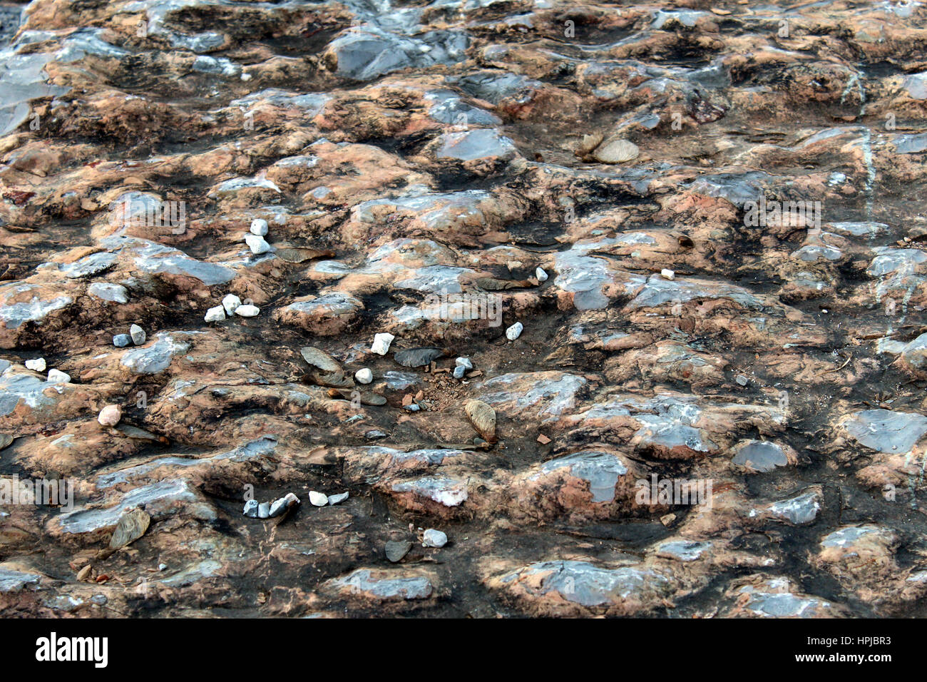 Chert nodules hi-res stock photography and images - Alamy