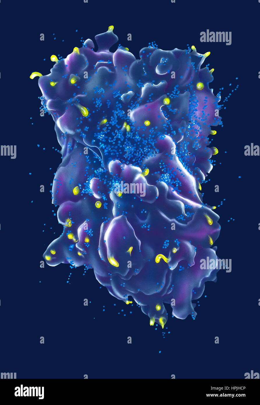 Human T-Cell (blue) under attack from the HIV Virus (yellow). The virus specifically targets T cells that a critical role in the body's immune system Stock Photo