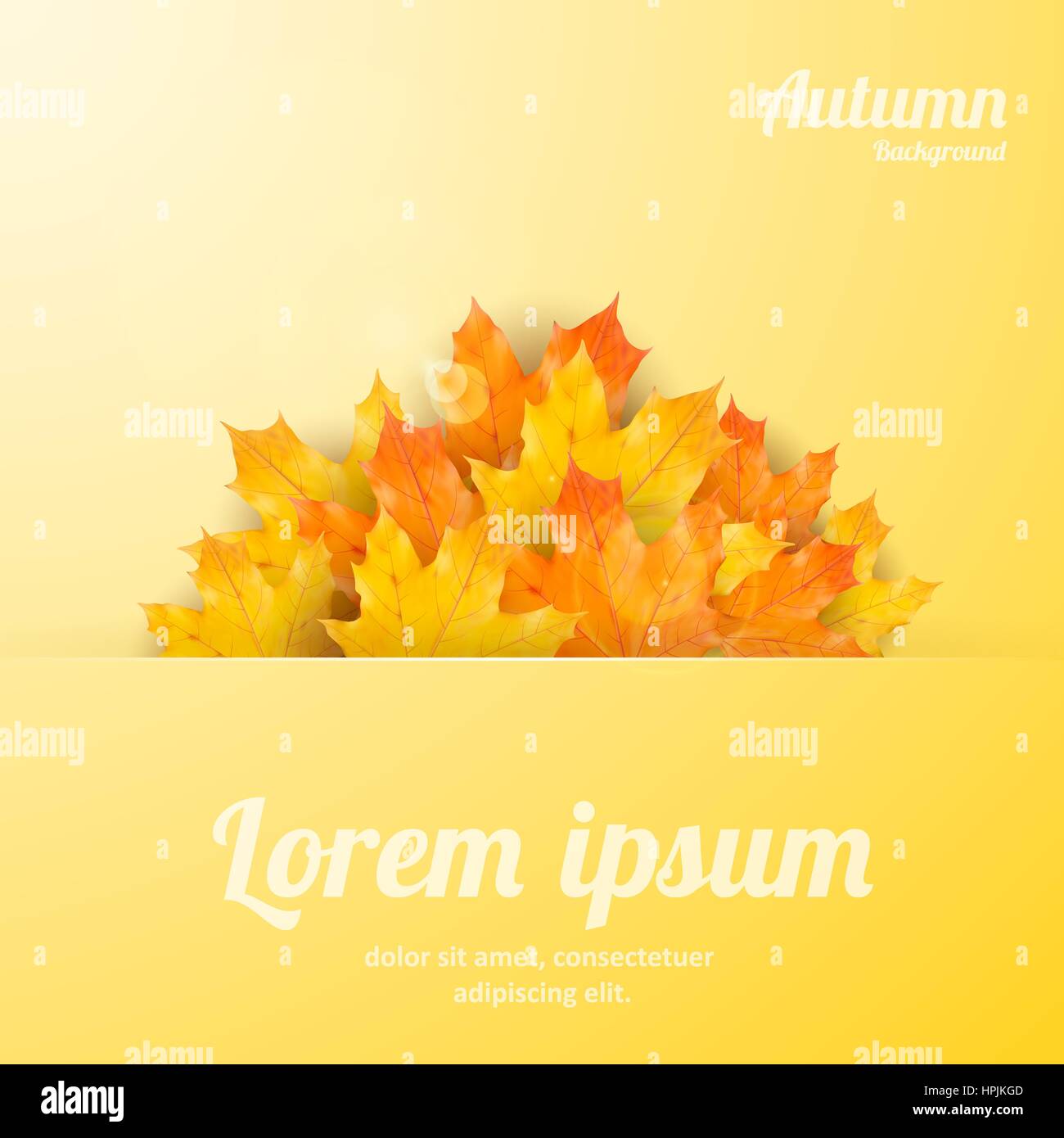 Autumn background with realistic maple leaves. Vector back to school ...