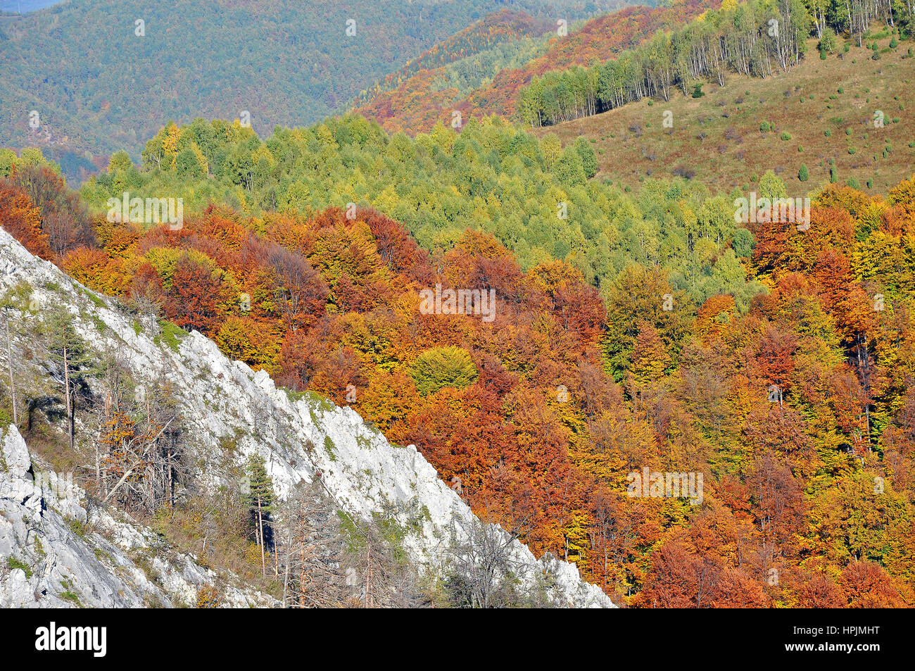 Autumn fall. Colorful autumn forest landscape in the mountains Stock ...