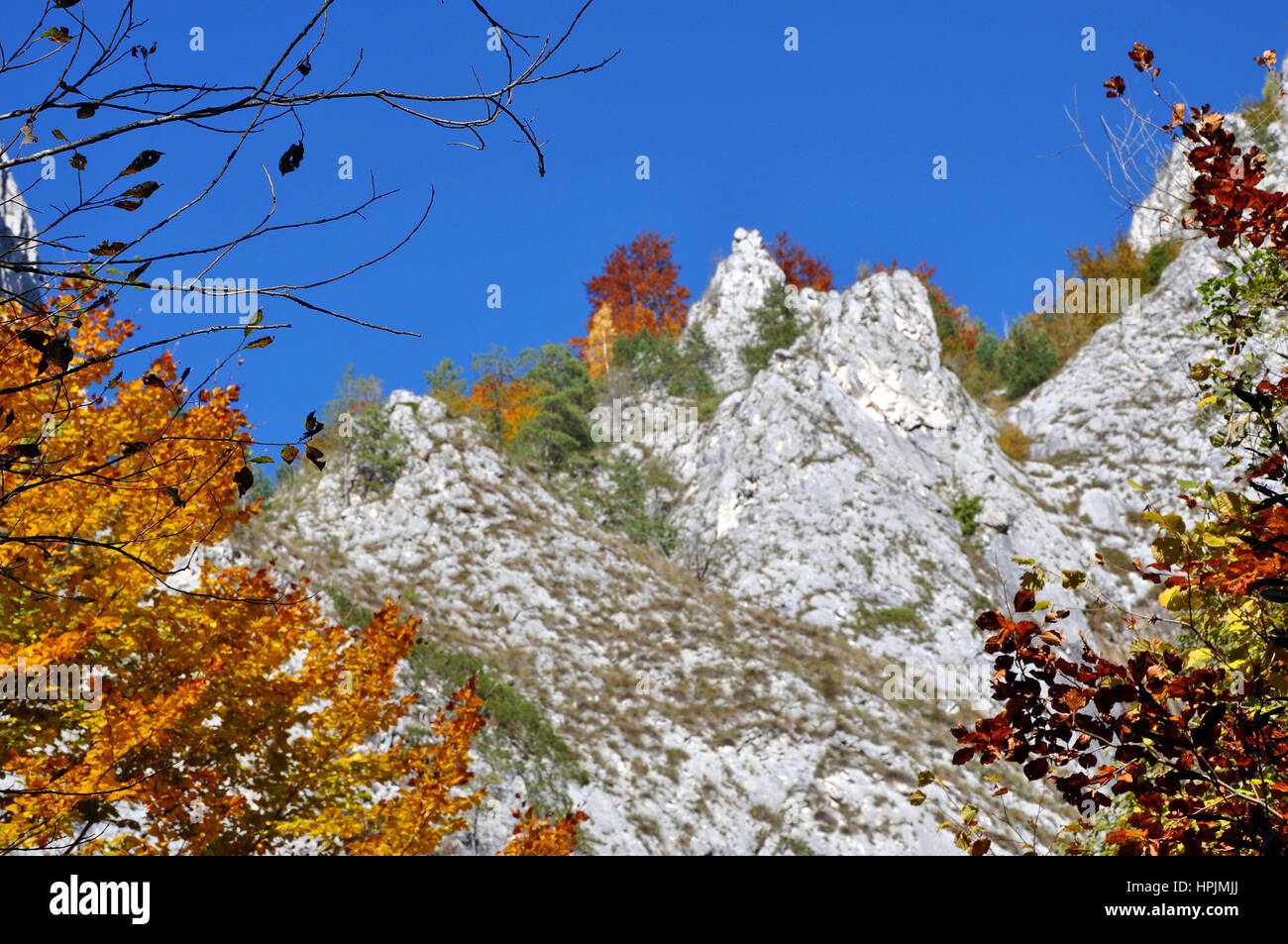 Autumn fall. Colorful autumn forest landscape in the mountains Stock ...