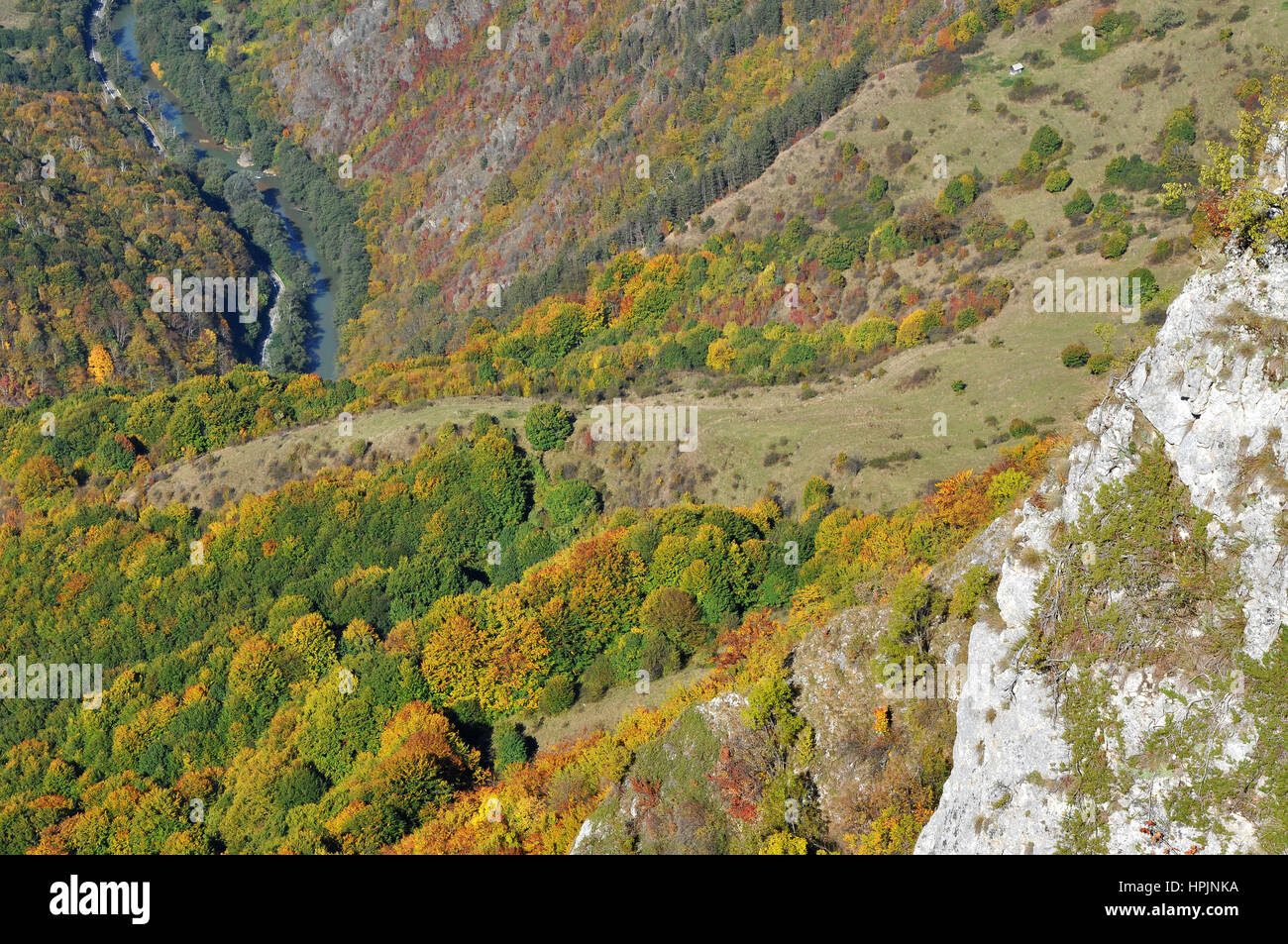 Mountain autumn landscape with colorful forest Stock Photo - Alamy
