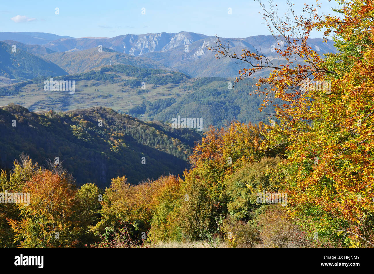 Mountain autumn landscape with colorful forest Stock Photo - Alamy