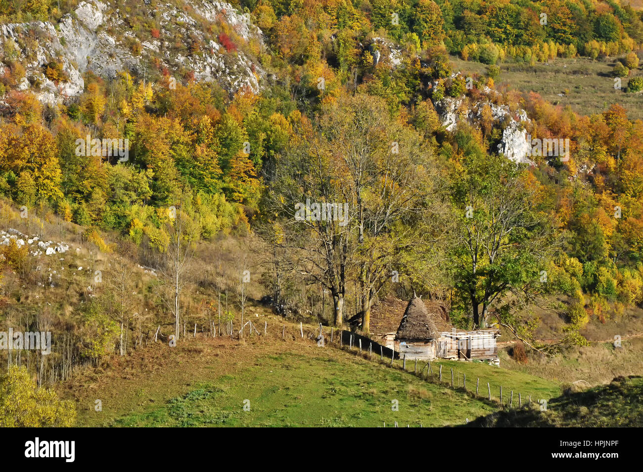 Mountain autumn landscape with colorful forest Stock Photo - Alamy