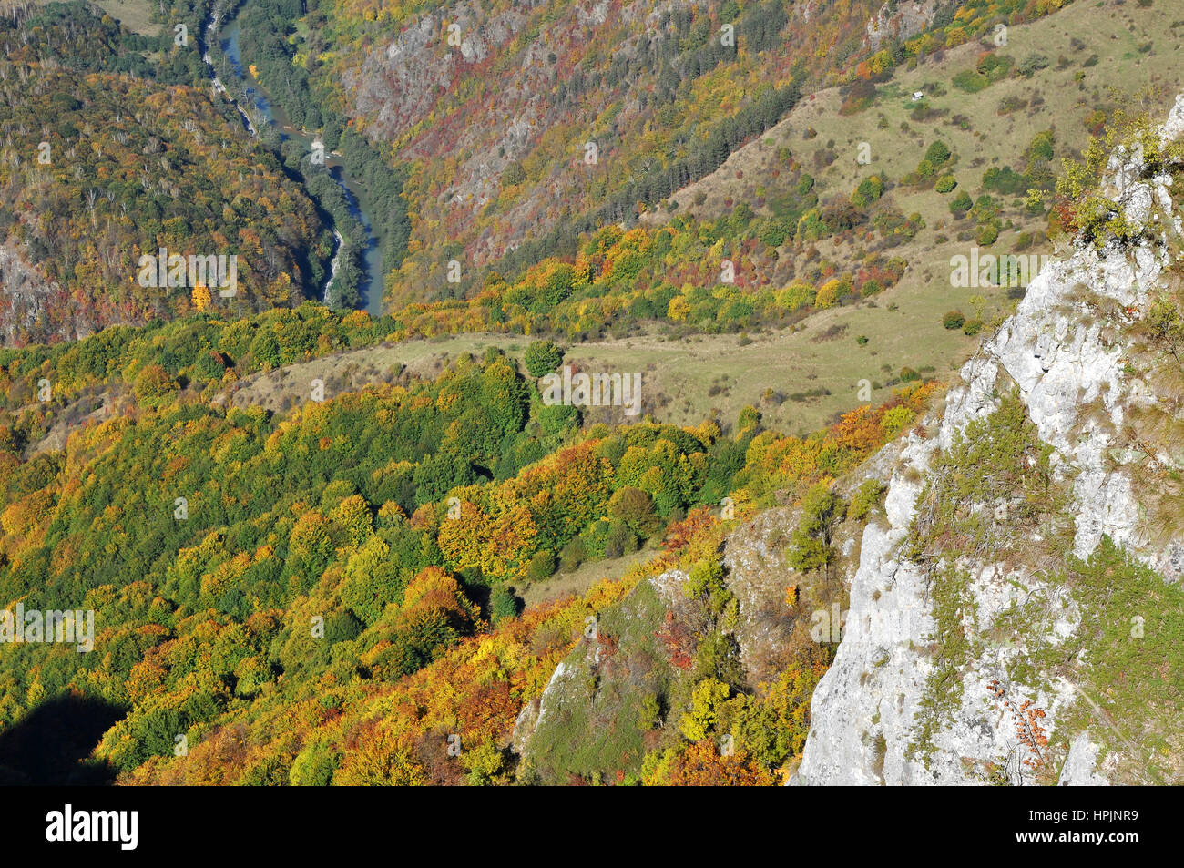 Mountain autumn landscape with colorful forest Stock Photo - Alamy