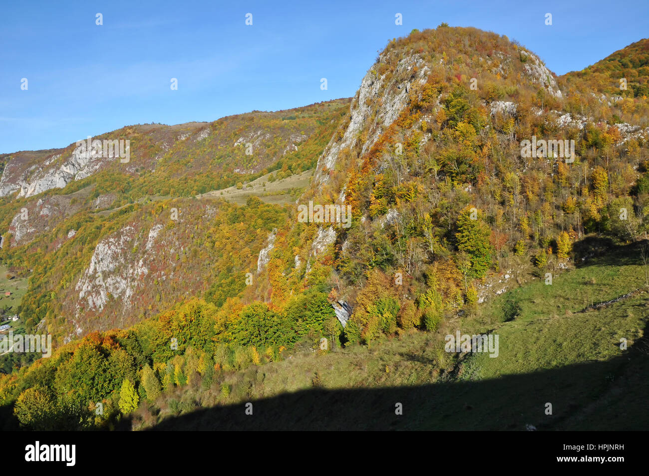 Mountain autumn landscape with colorful forest Stock Photo - Alamy