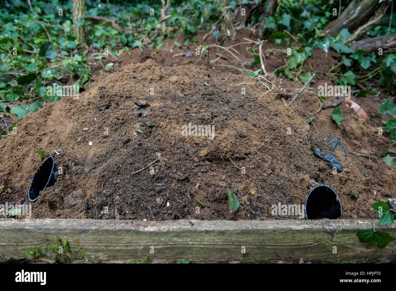 Hibernacula hires stock photography and images Alamy
