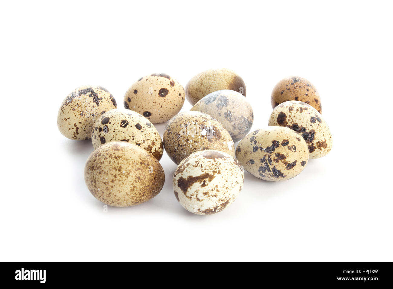 close up of quail eggs isolated on white background Stock Photo