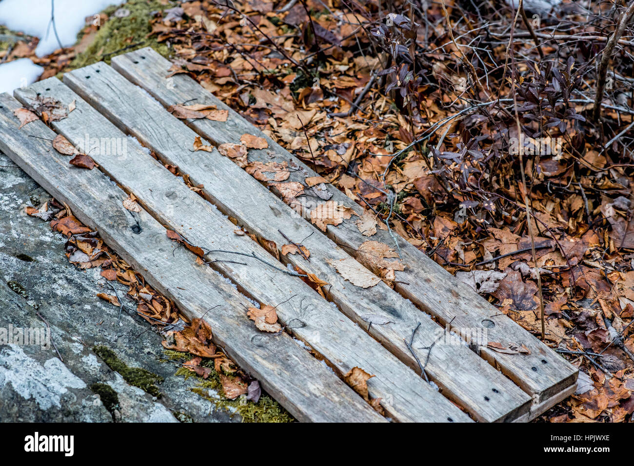 winter Albro lakeside bench with withered leaves in Dartmouth Stock ...