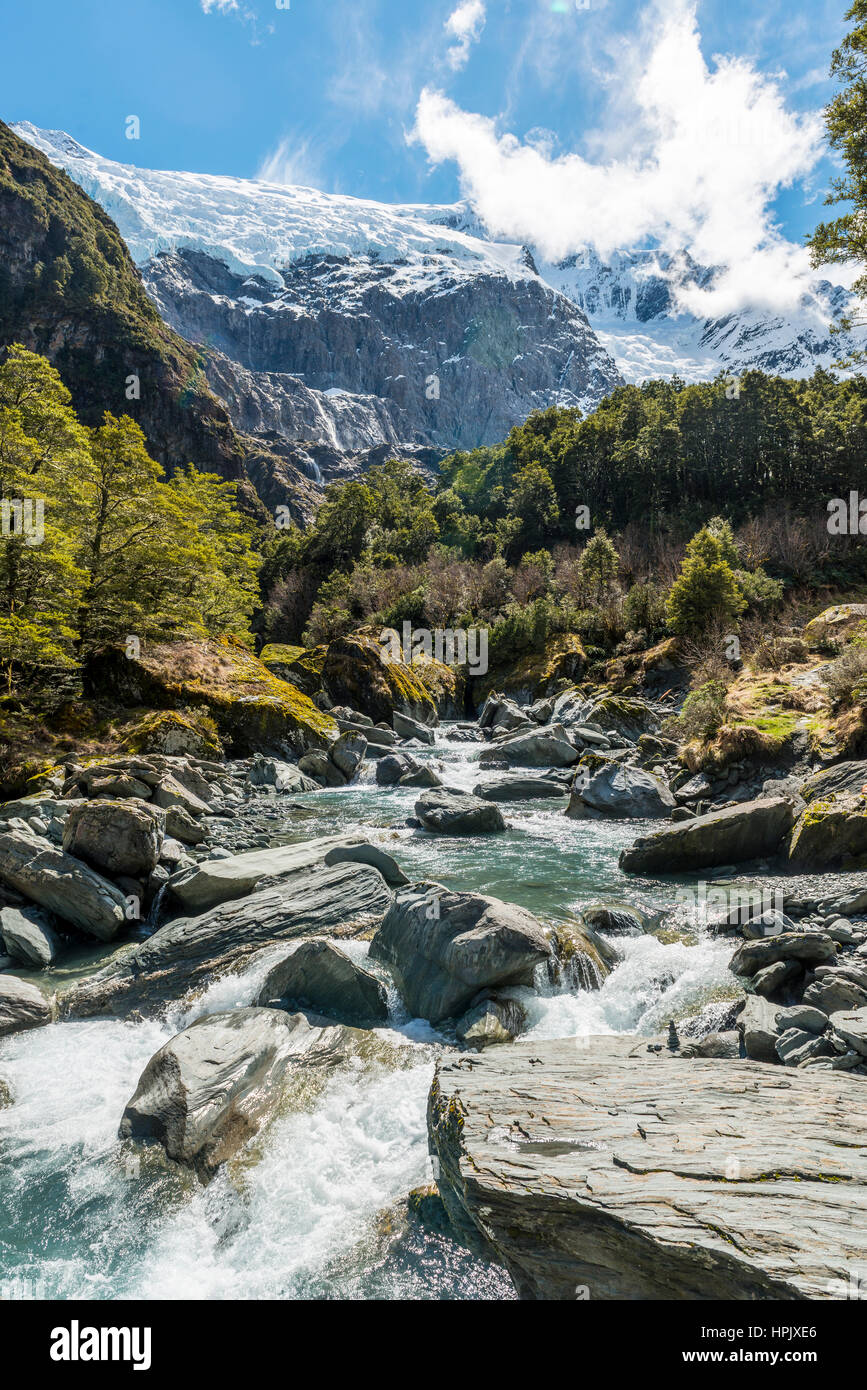 Glacial river flowing through mountains, Rob Roy Glacier, Mount Aspiring National Park, Otago, Southland, New Zealand Stock Photo