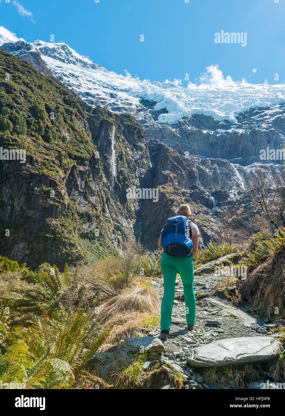 Hiker on trail, Rob Roy Glacier, Mount Aspiring National Park, Otago, Southland, New Zealand Stock Photo