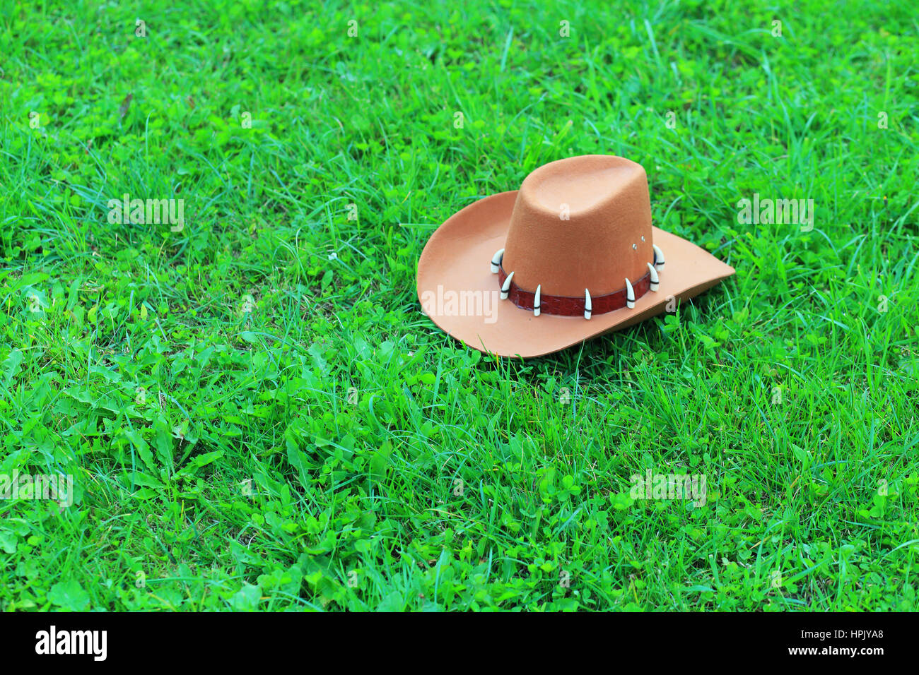 Brown cowboy hat on green grass with space Stock Photo