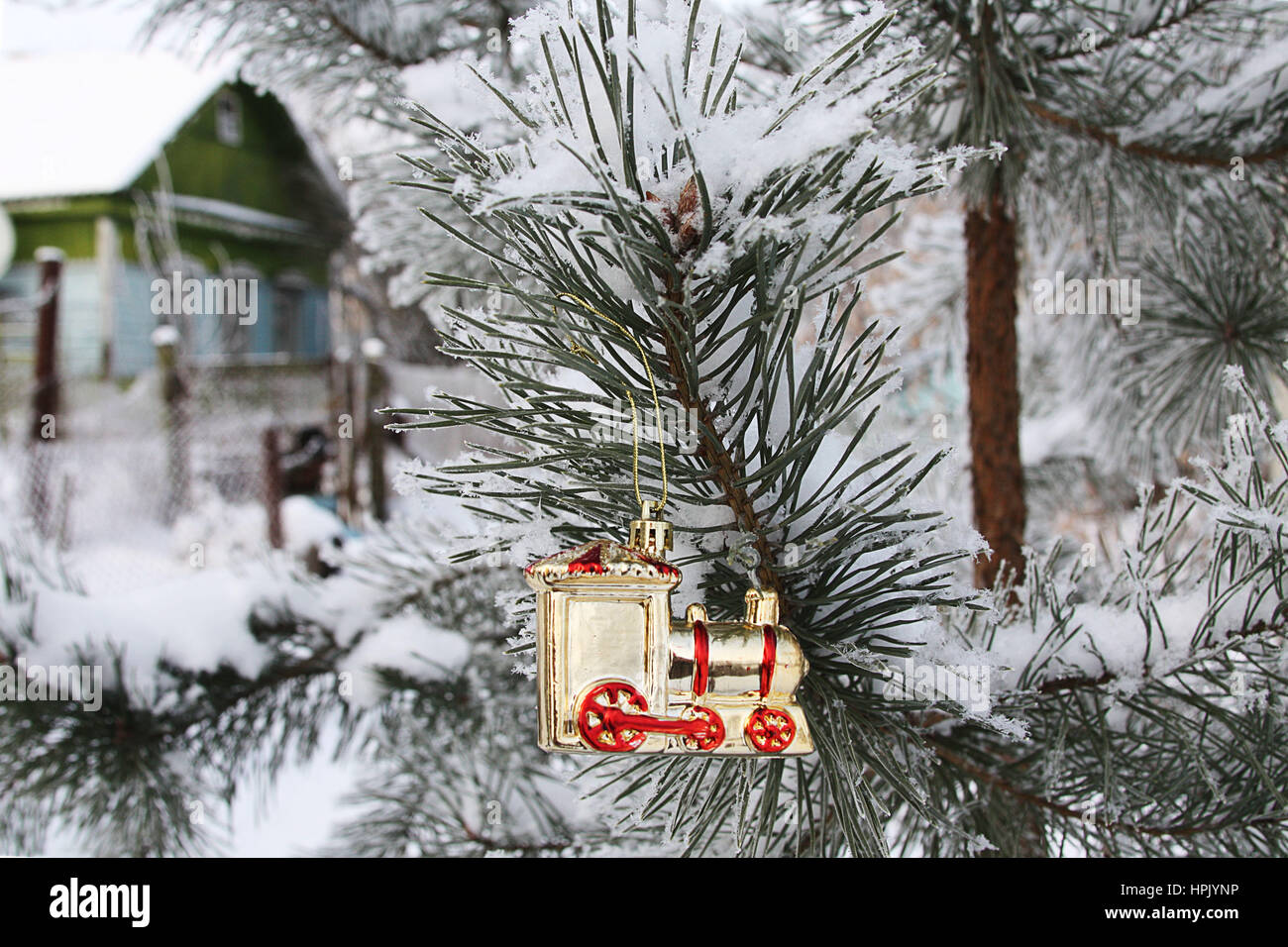 Beautiful pine branch in the snow with a Christmas toy on the background of a village house Stock Photo