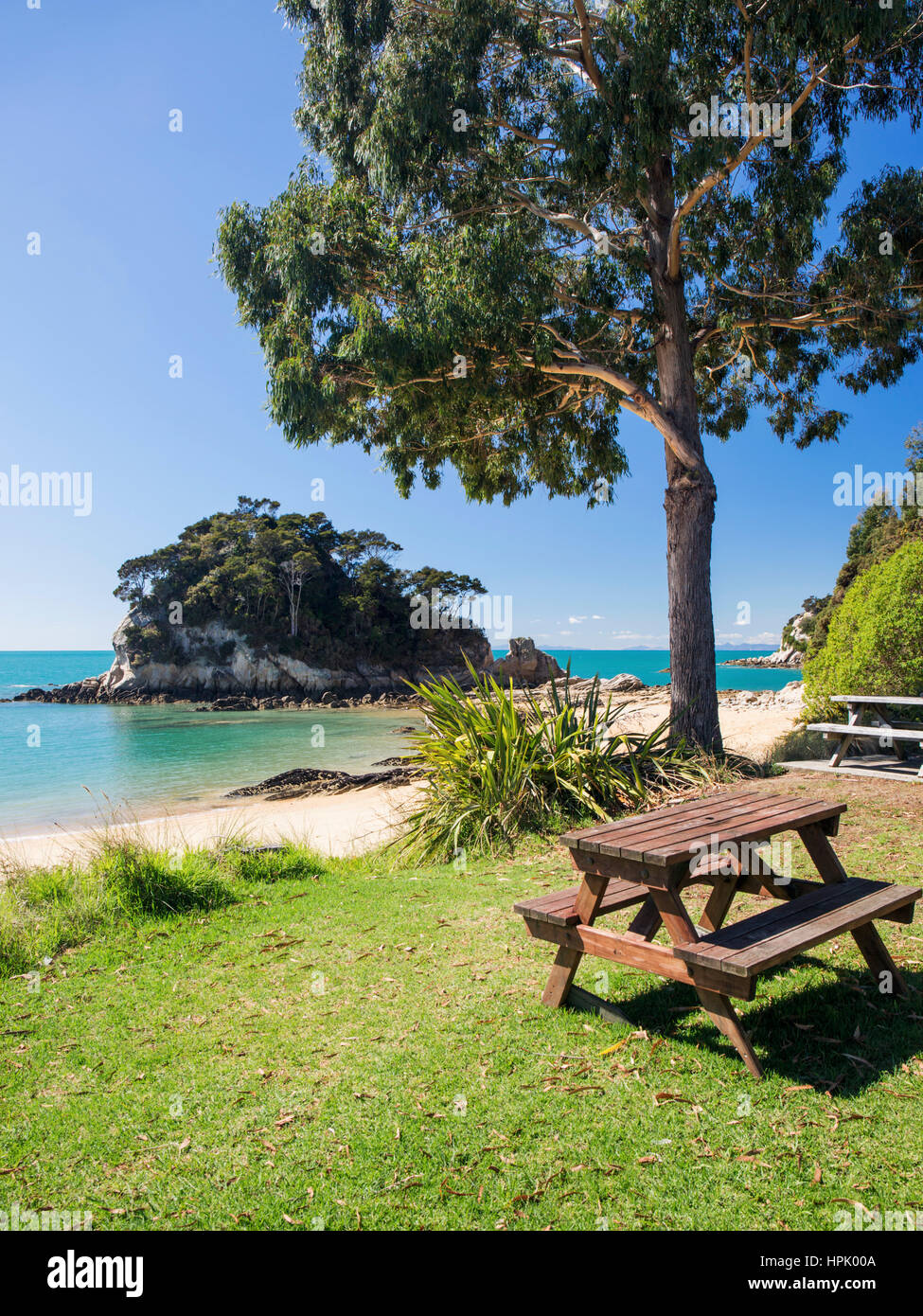 Kaiteriteri, Tasman, New Zealand. Inviting picnic table on grass behind the beach at Little Kaiteriteri. Stock Photo