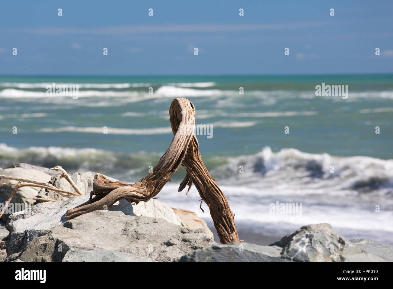 Hokitika, West Coast, New Zealand. Driftwood washed up onto rocky shore