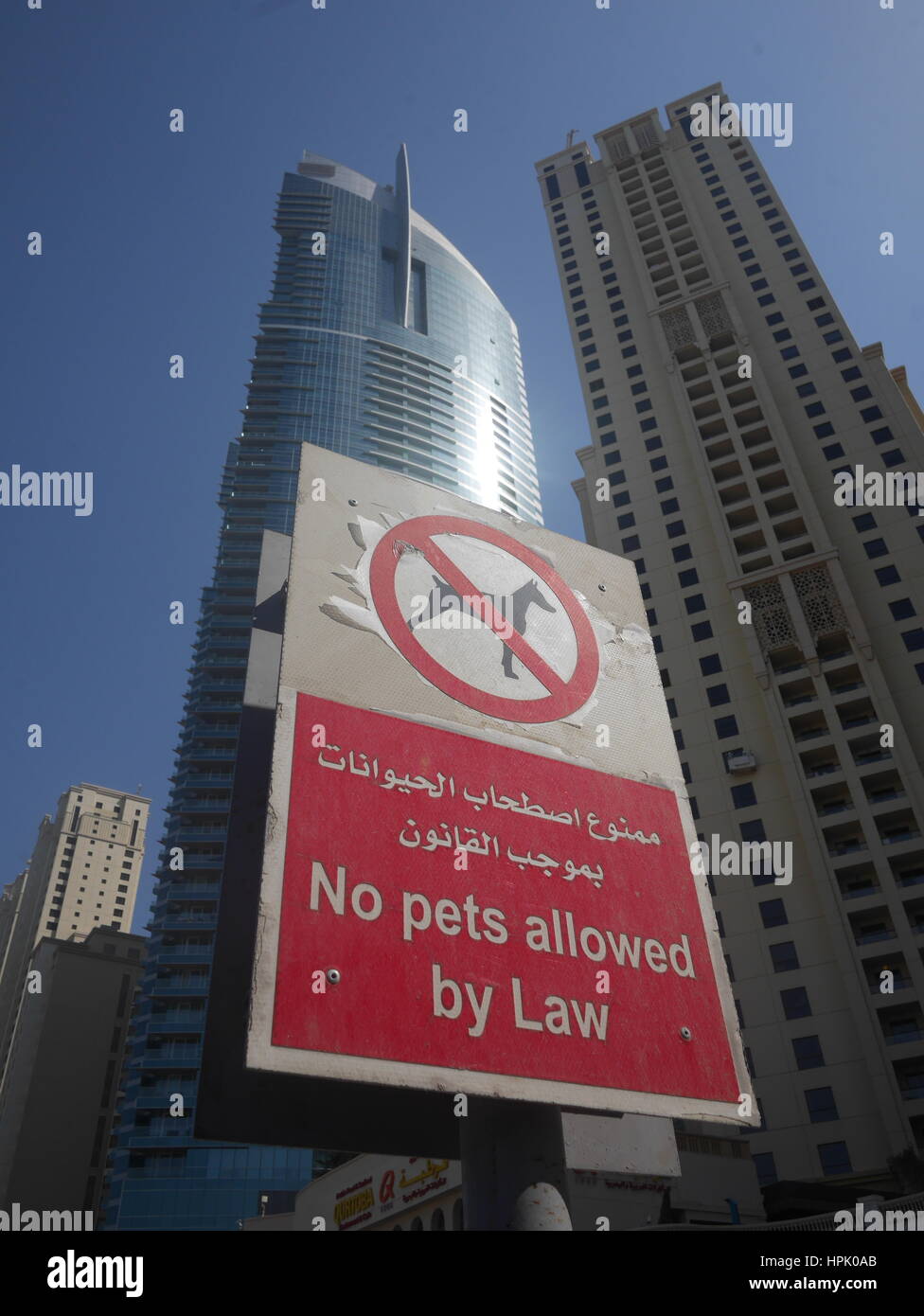 not pets allowed by law sign Dubai Stock Photo Alamy