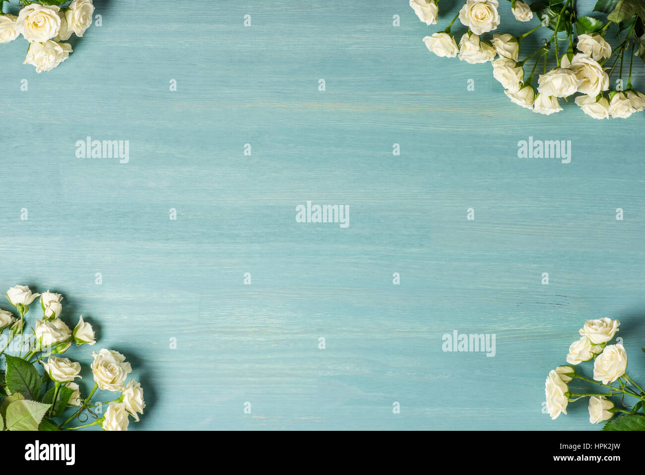 Beautiful white roses Stock Photo - Alamy