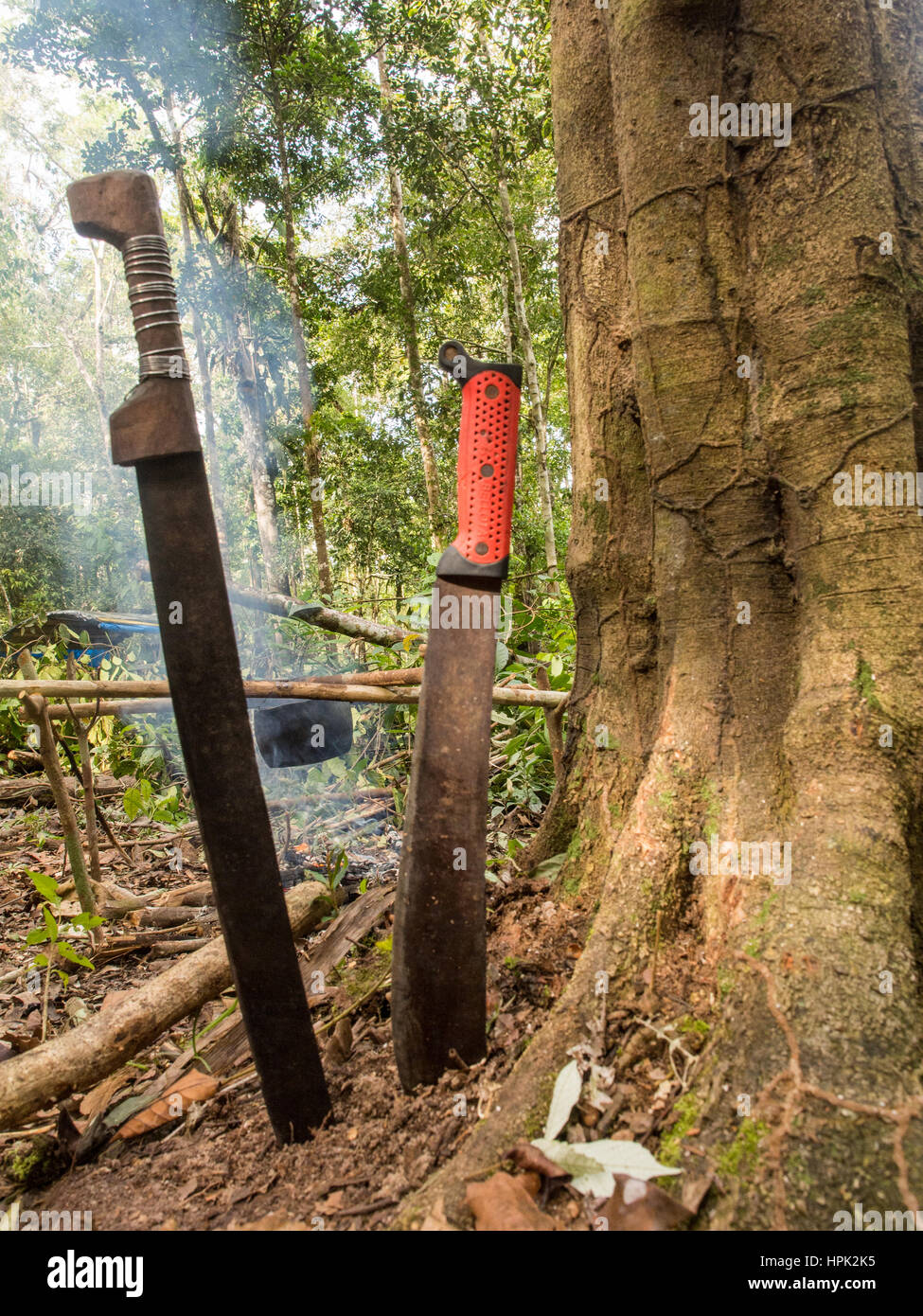 Machety. The main tool used by the Indians in the jungle. Stock Photo