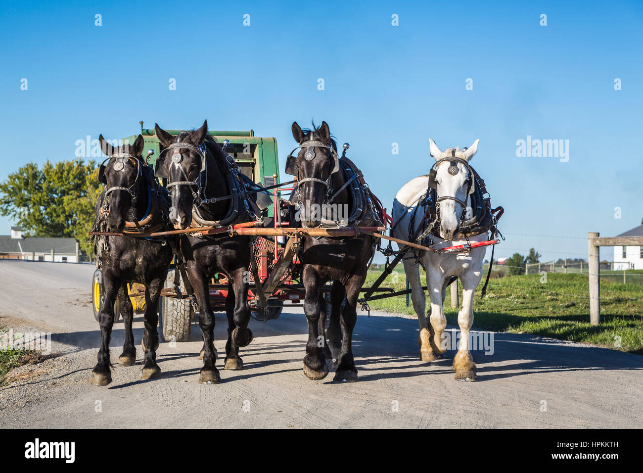 A team of horses and hay baler on a farm road near Kidron, Ohio, USA Stock Photo Alamy