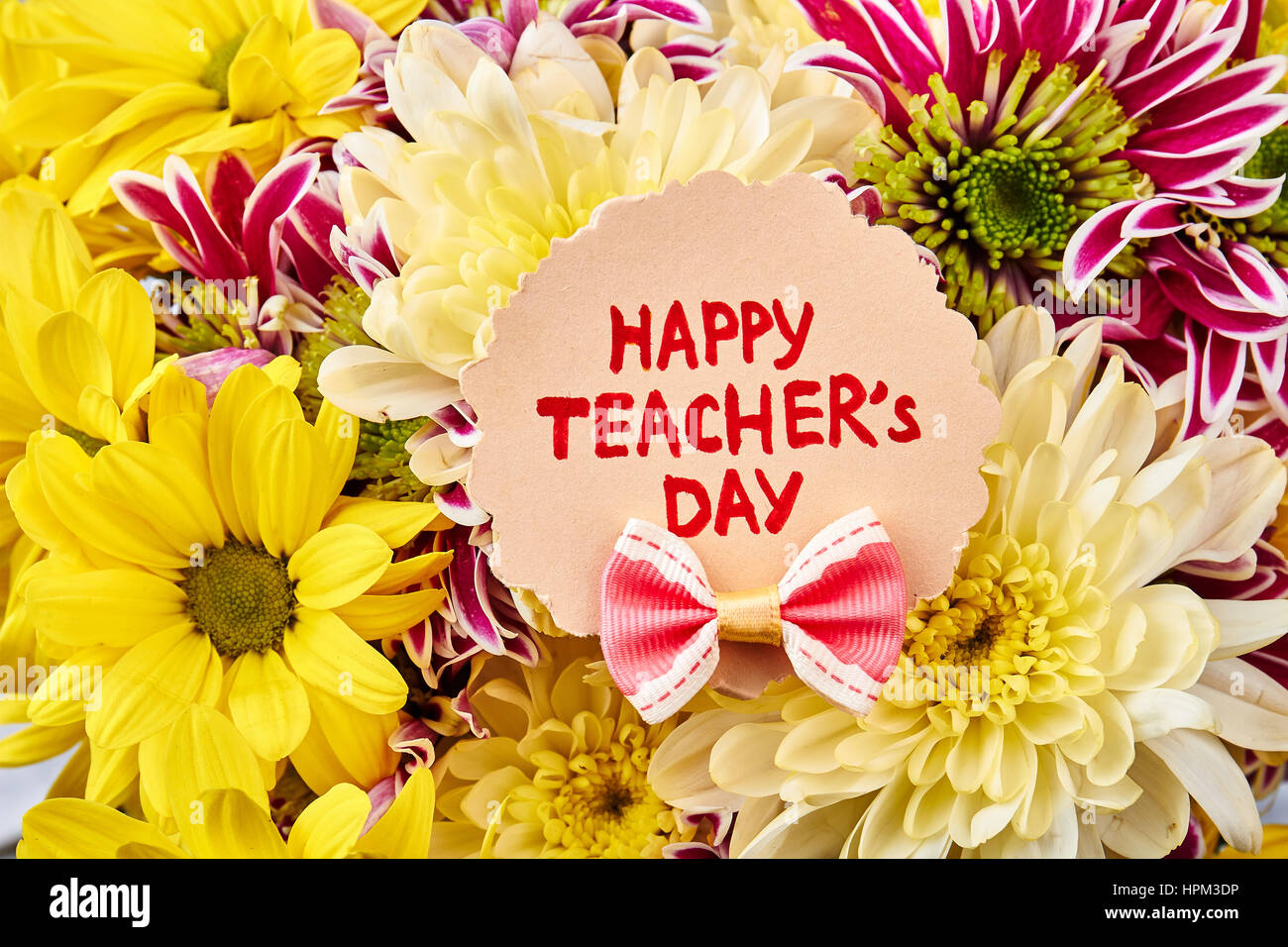 Flowers and Teacher's Day Card. Congratulation with Knowledge Day. Stock Photo