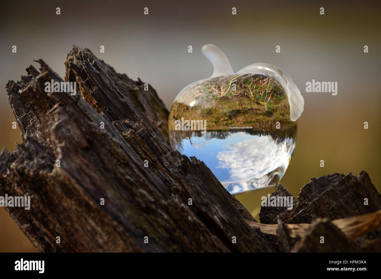 glass apple Stock Photo