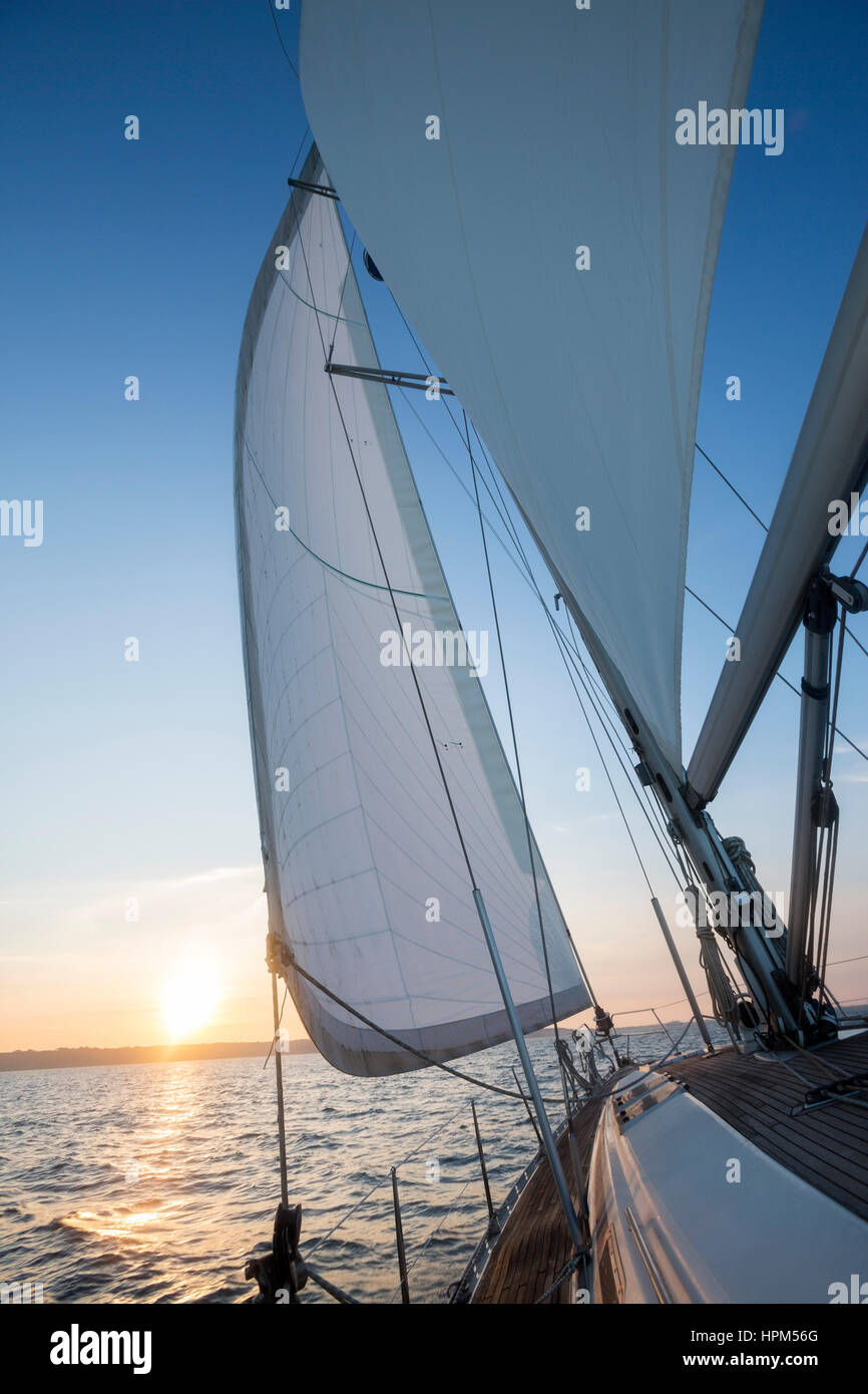 Sail of luxury yacht in open sea during sunset Stock Photo - Alamy