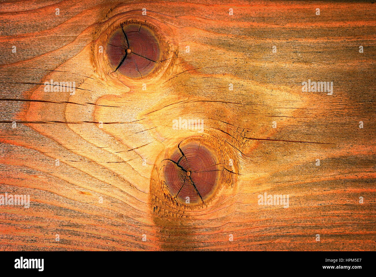 knots on fir plank surface, texture for your design Stock Photo
