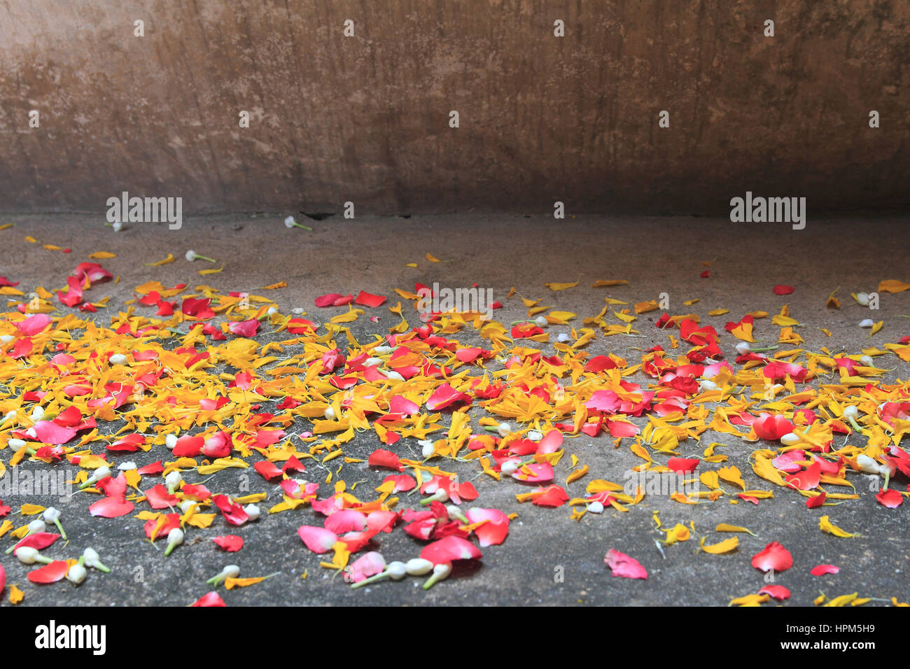Flowers On The Floor High Resolution Stock Photography and Images Alamy