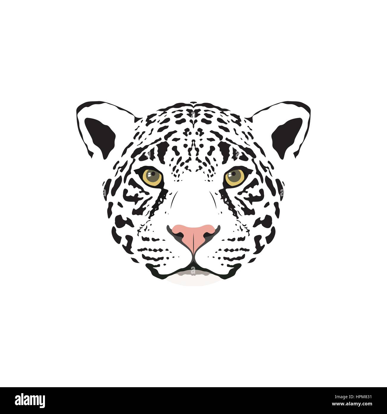 Vector illustration of a white jaguar head. Suitable as tattoo, team mascot,  symbol for zoo or animal preservation center Stock Vector Image \u0026 Art -  Alamy, image size:1300x1390