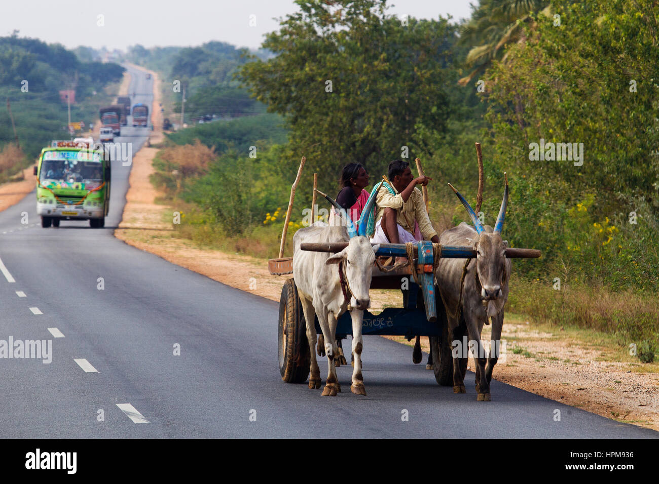 Typical indian cart at a road in Karnataka, India Stock Photo
