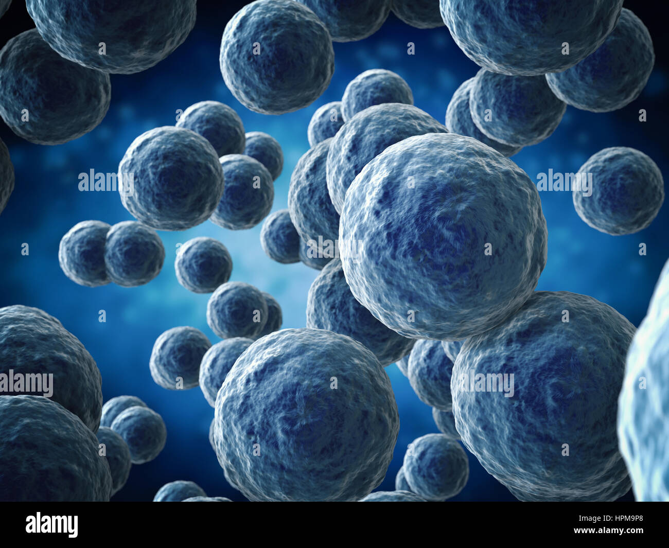 Spherical bacteria hires stock photography and images Alamy