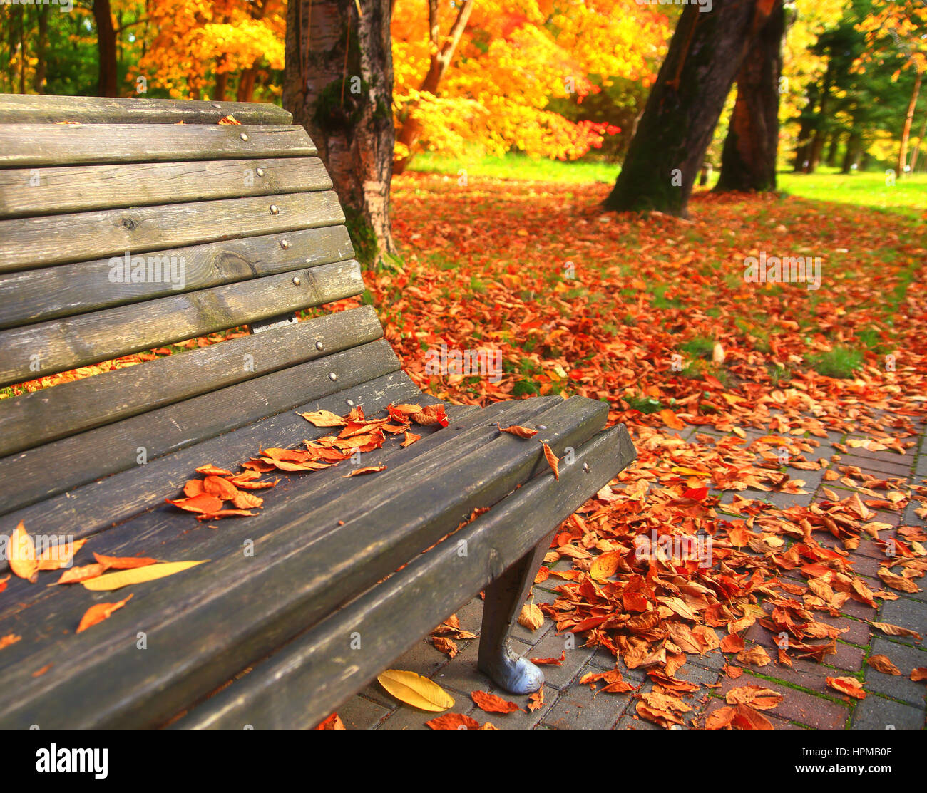 Autumn forest park garden landscape hi-res stock photography and images ...