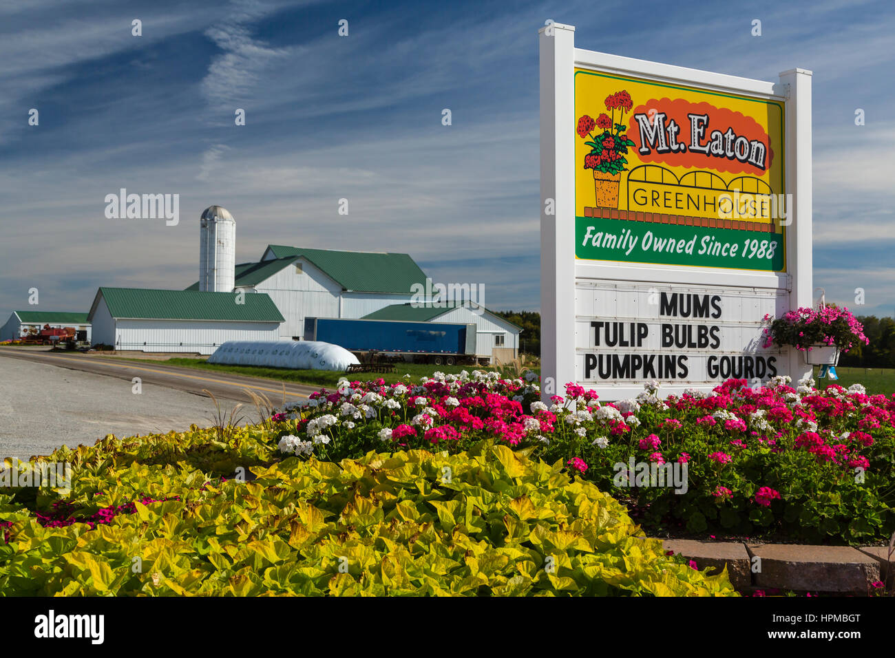 Flowers for sale at the Mt. Eaton Greenhouses , Ohio, USA Stock Photo