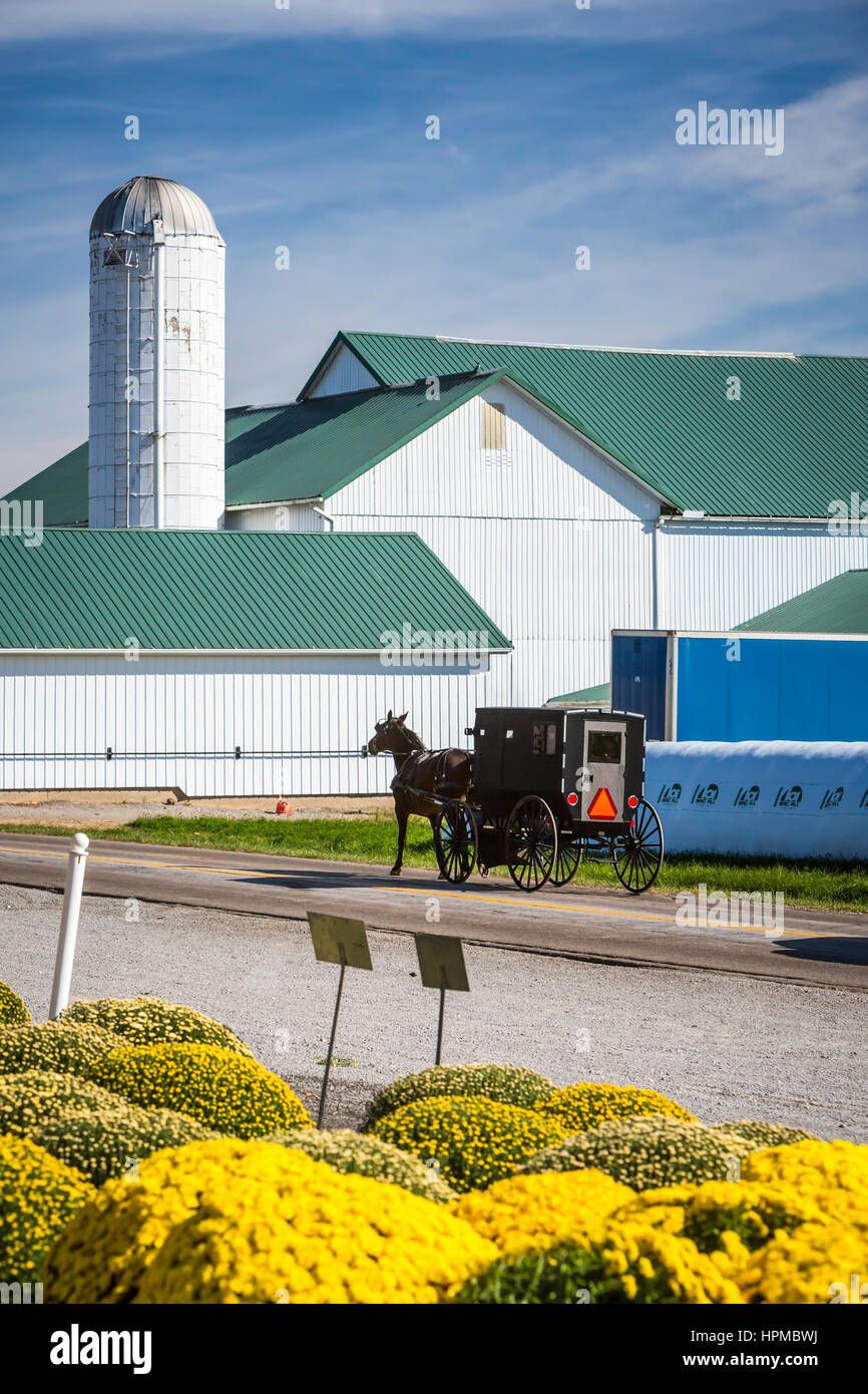 Amish horse and buggies on the roadways near Mt. Eaton, Ohio, USA Stock Photo Alamy