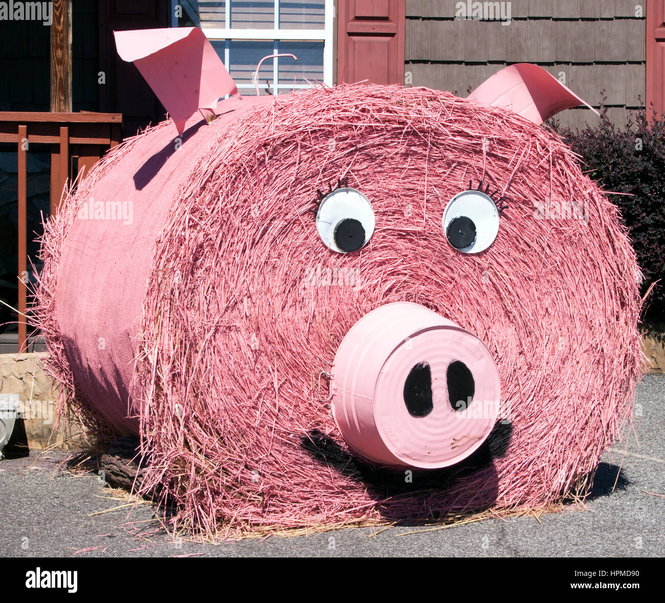 Pink hay bale pig in Landrum South Carolina Stock Photo