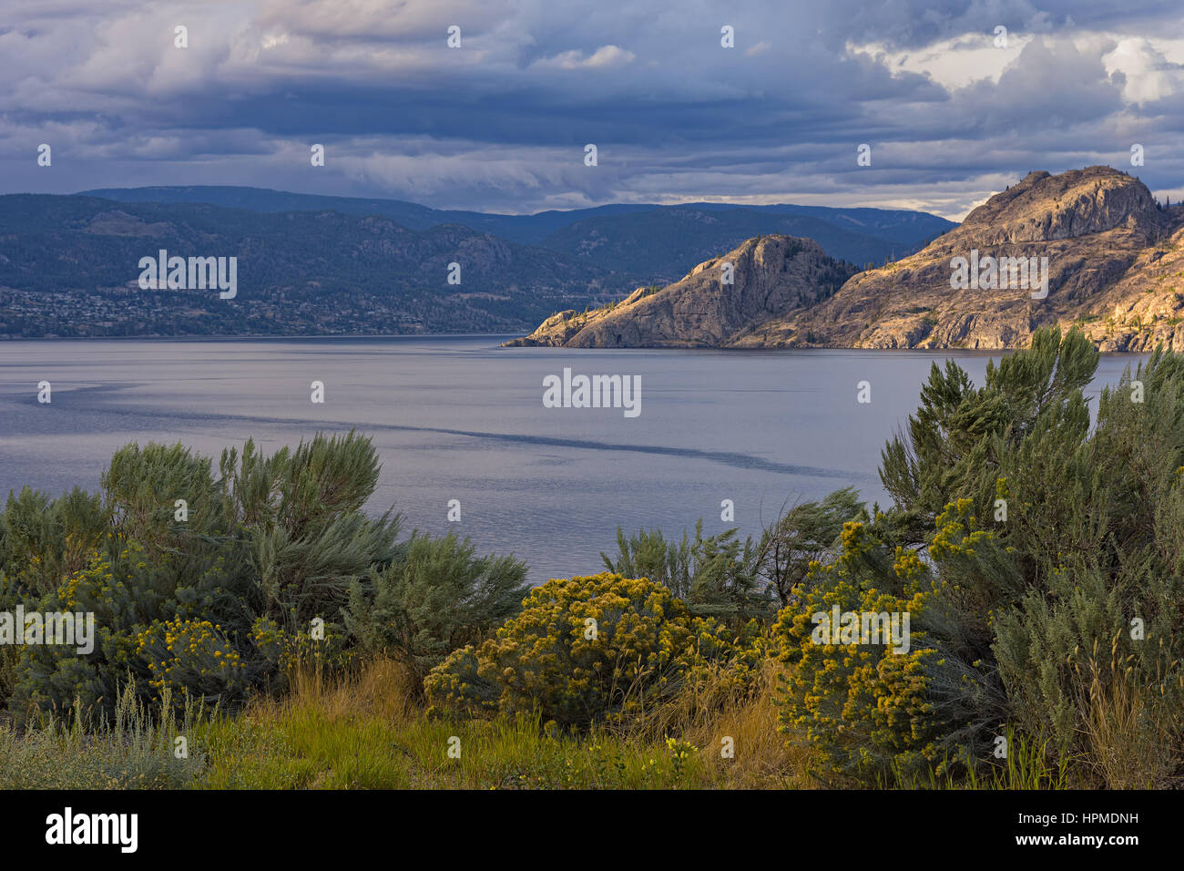 Okanagan Lake near Summerland British Columbia Canada with Sage and Flowers in the Foreground Stock Photo