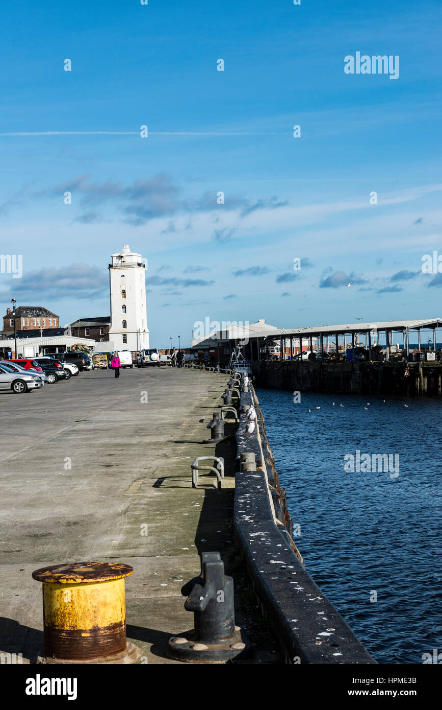North Shields Fish Quay Stock Photo Alamy