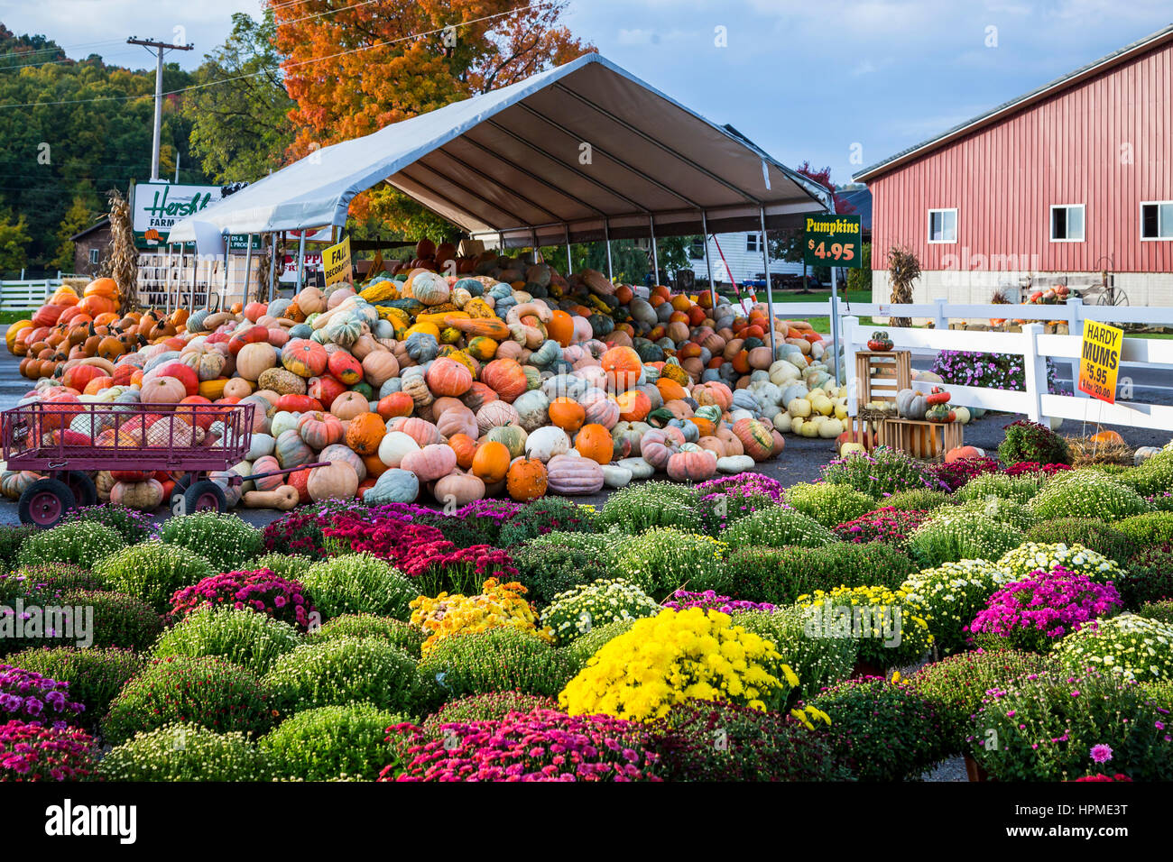 Outdoor bakery hires stock photography and images Alamy