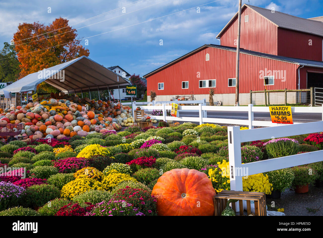 The Hershberger's Farm and Bakery near Millersburg, Ohio, USA. Stock Photo
