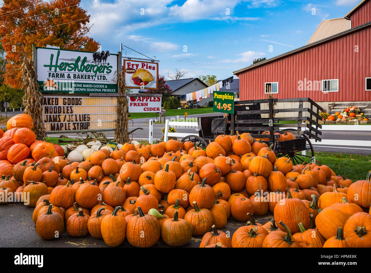 The Hershberger's Farm and Bakery near Millersburg, Ohio, USA. Stock Photo